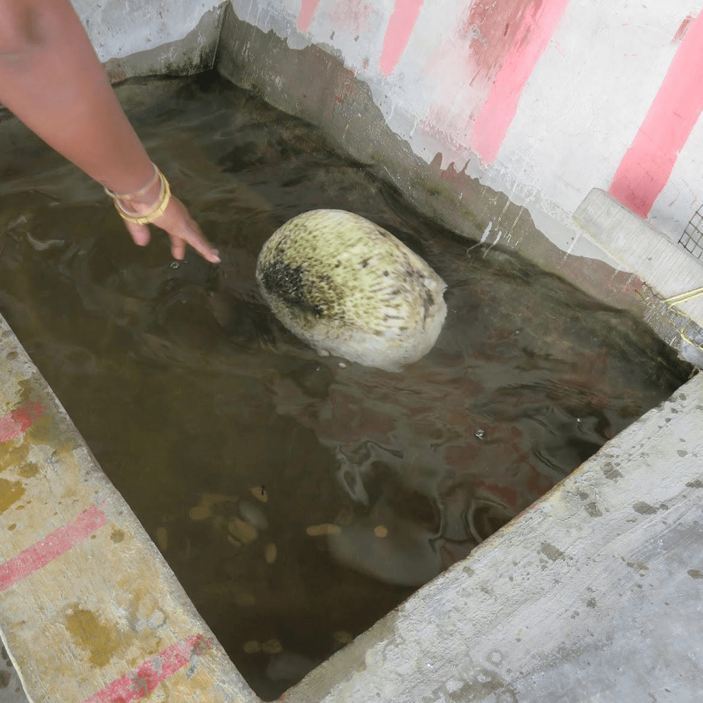 Floating Stone Rameswaram