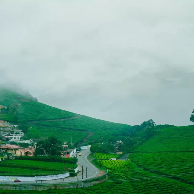 Ooty